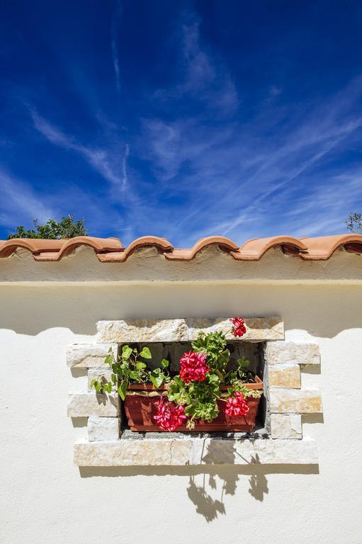 Olive House Zadar Vila Exterior foto